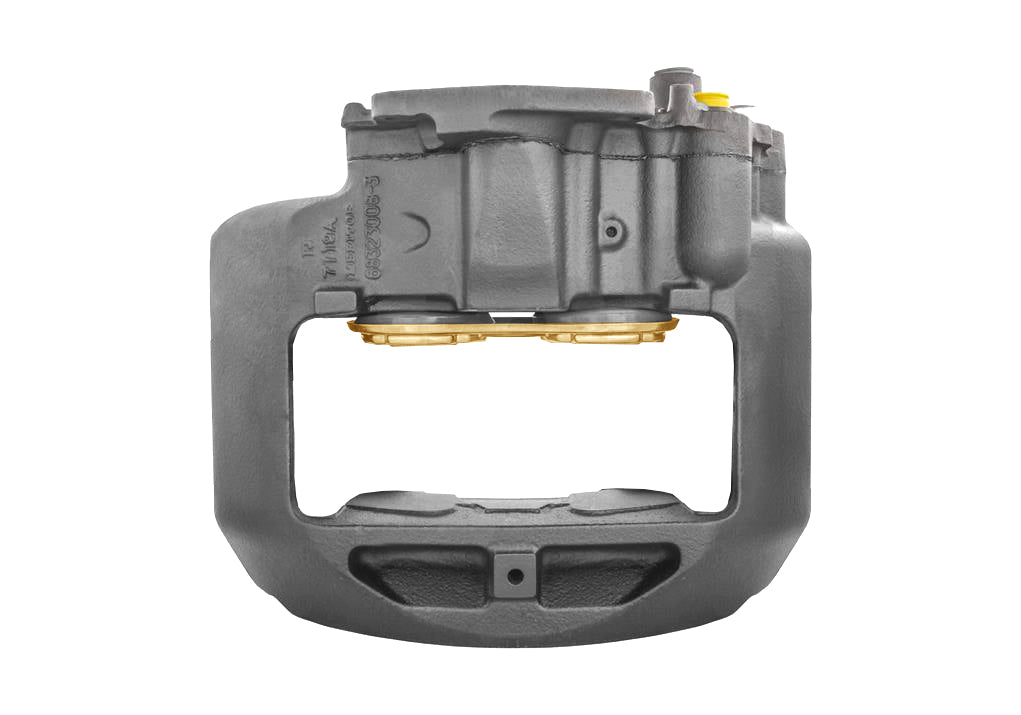 LRG587 Jarrusatula Meritor Elsa 1 - TCM.060.587