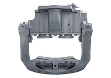 LRG646 Jarrusatula Meritor Elsa 2 - TCM.080.646 thumbnail